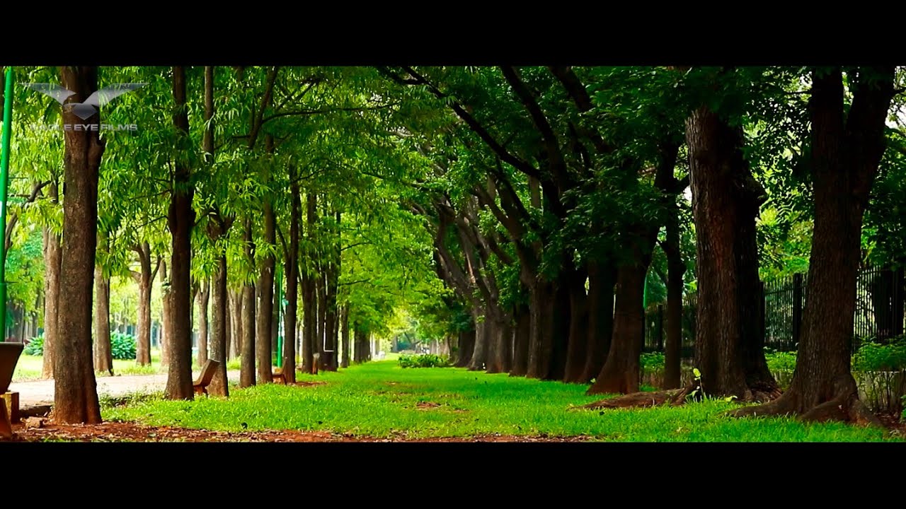 Cubbon Park